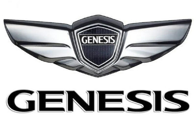 Pintura Genesis por código de color