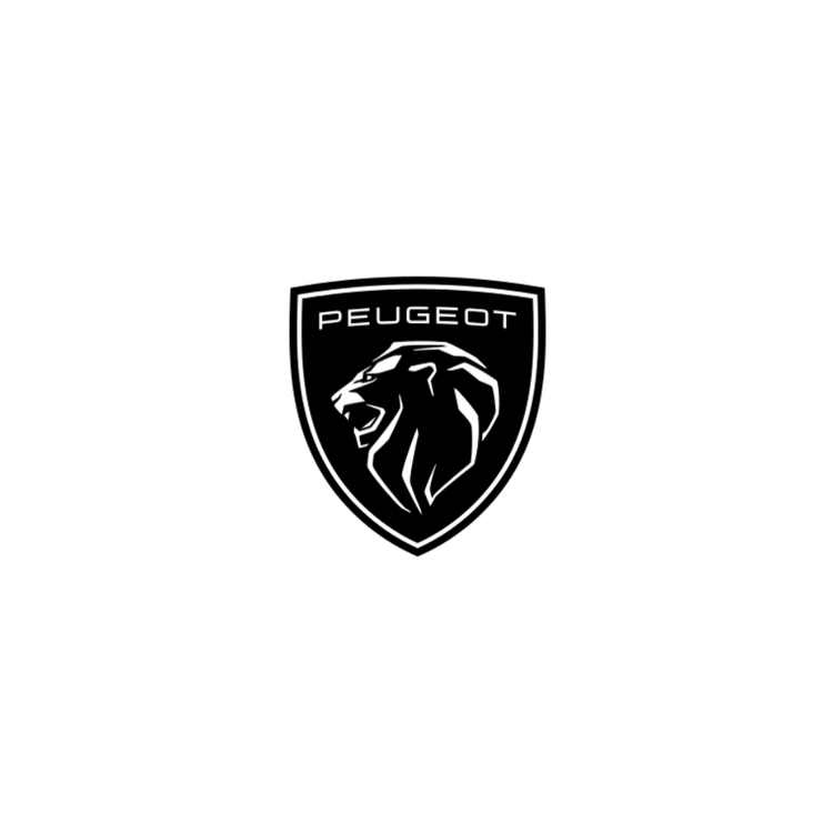 Pintura a pistola Peugeot