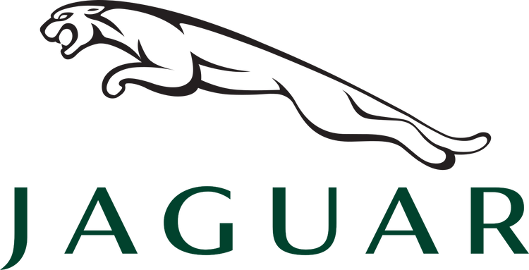 Pintura Jaguar por código de color