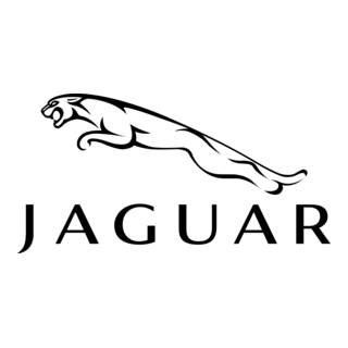 Pintura a spray Jaguar
